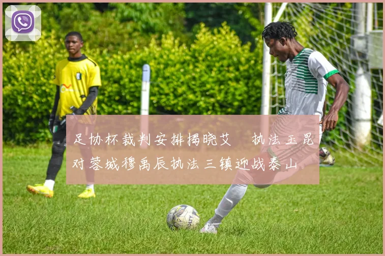 足协杯裁判安排揭晓艾堃执法玉昆对蓉城穆禹辰执法三镇迎战泰山